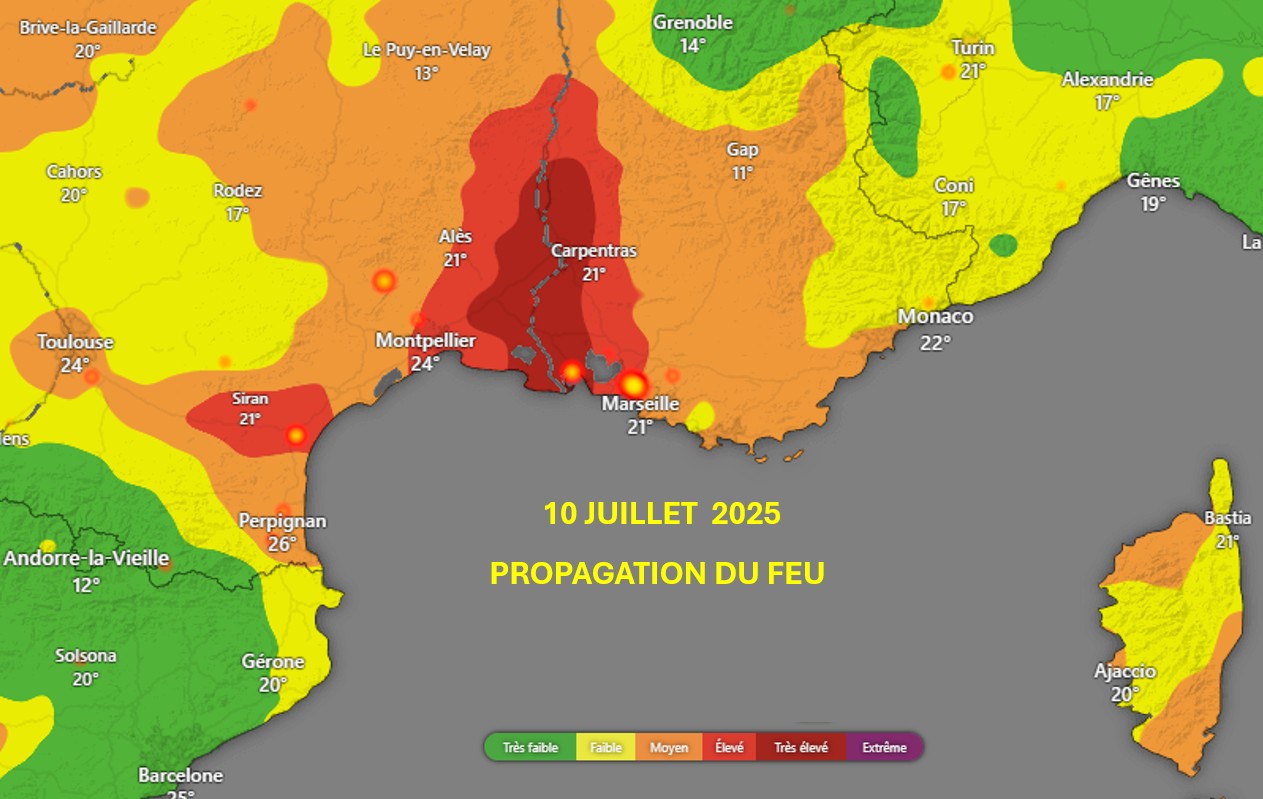 Capture d’écran 2025 07 10 000718