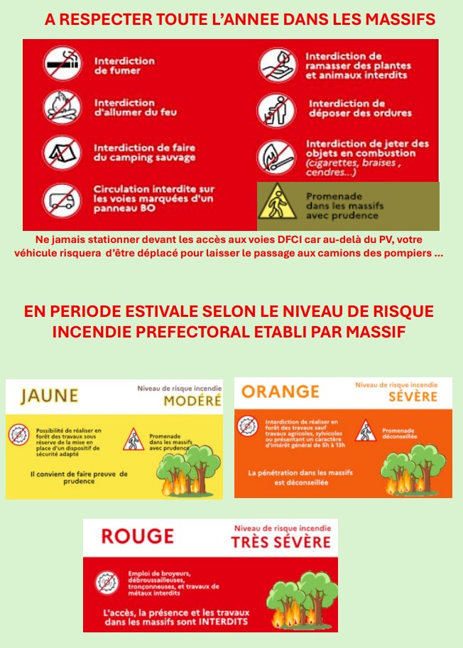Capture d’écran 2025 07 26 134248
