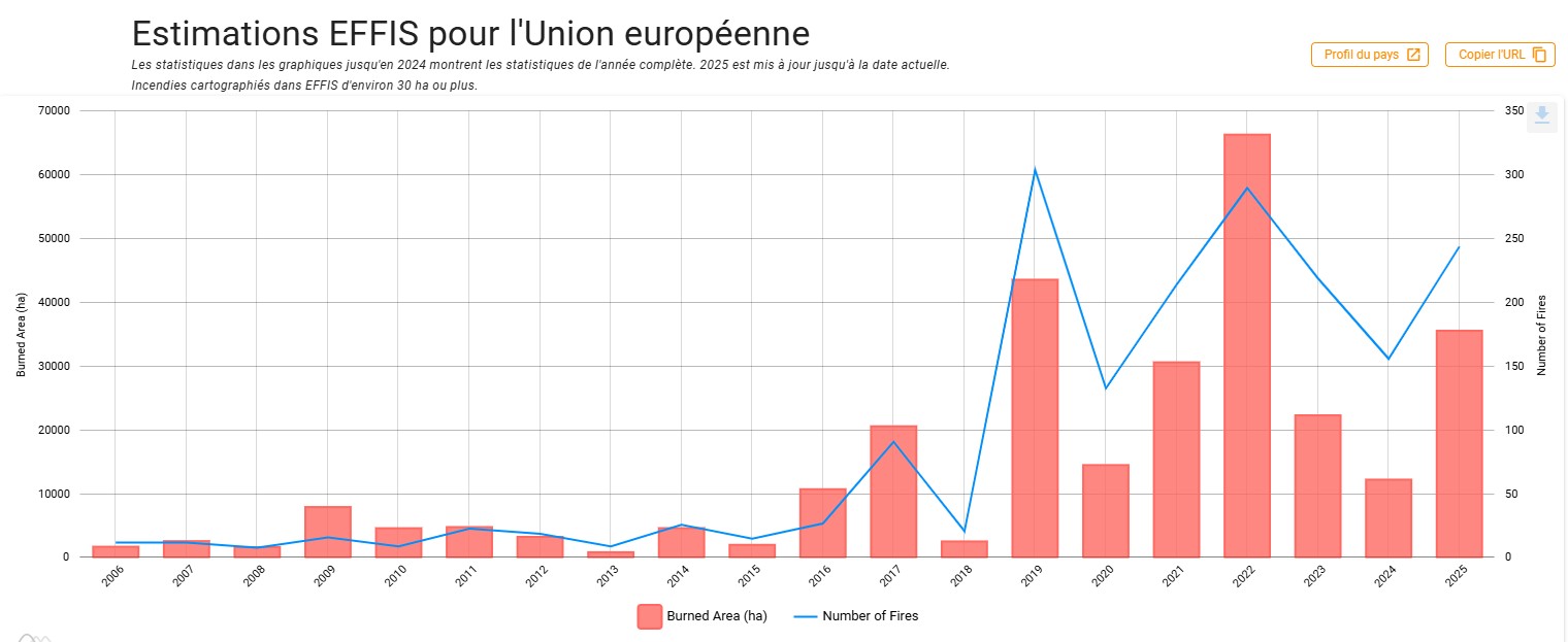 Capture d’écran 2025 08 19 181541