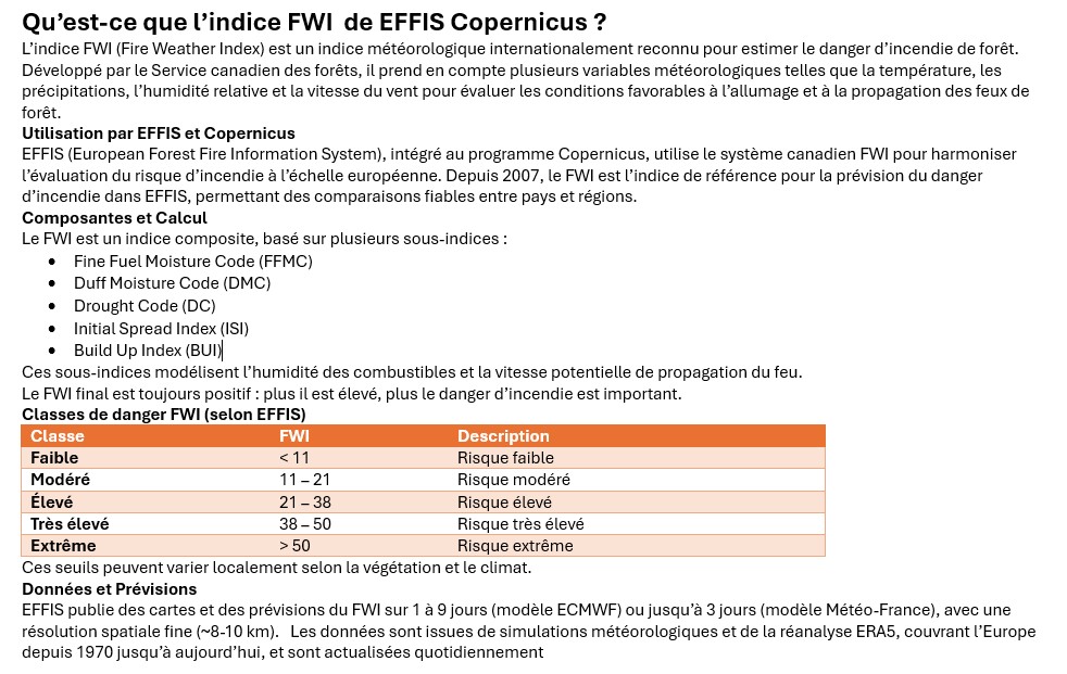 Indice effis